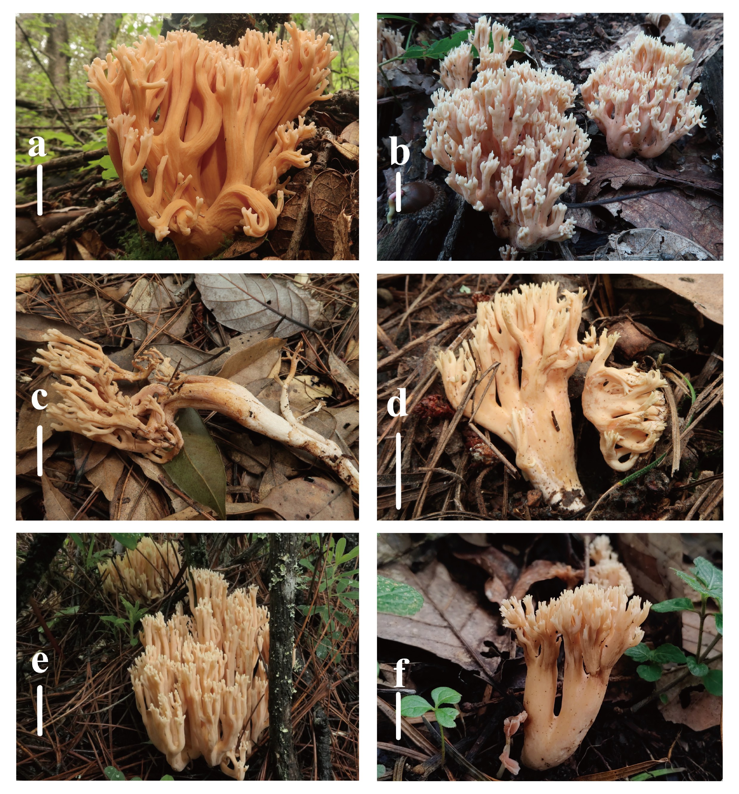 Figure 18